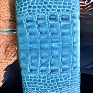 Banana Republic Teal Clutch